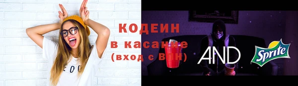дживик Верея