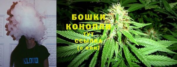 гидра Бугульма
