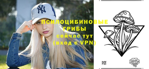 гидра Бугульма