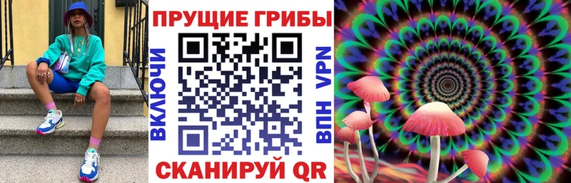 как найти закладки  Славянск-на-Кубани  mega маркетплейс  Галлюциногенные грибы Cubensis 